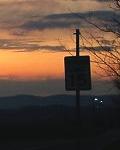 Bald Eagle sunset